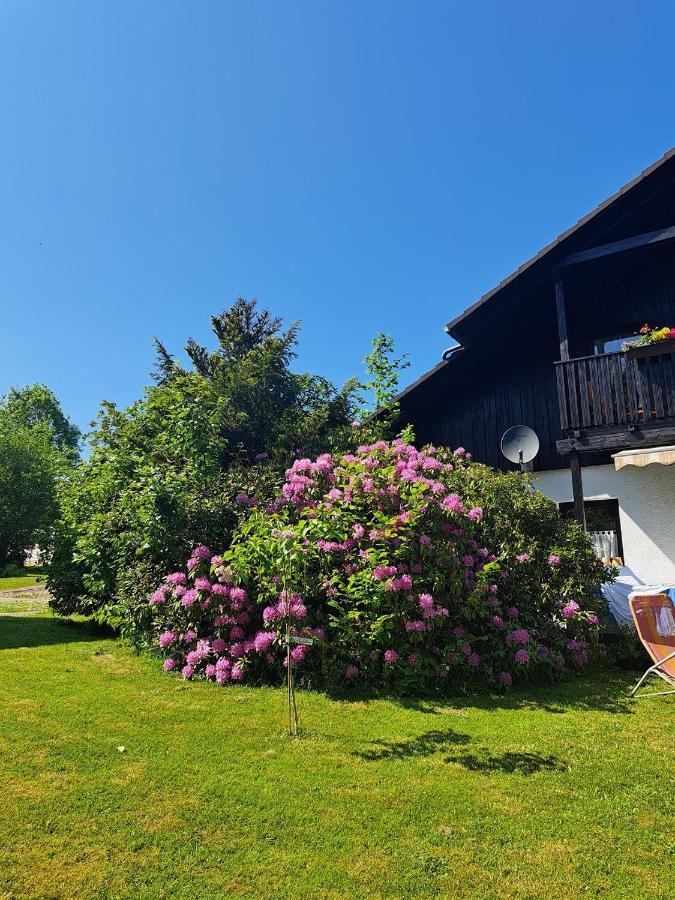 Ferienwohnung Martin Thalfang Exteriör bild